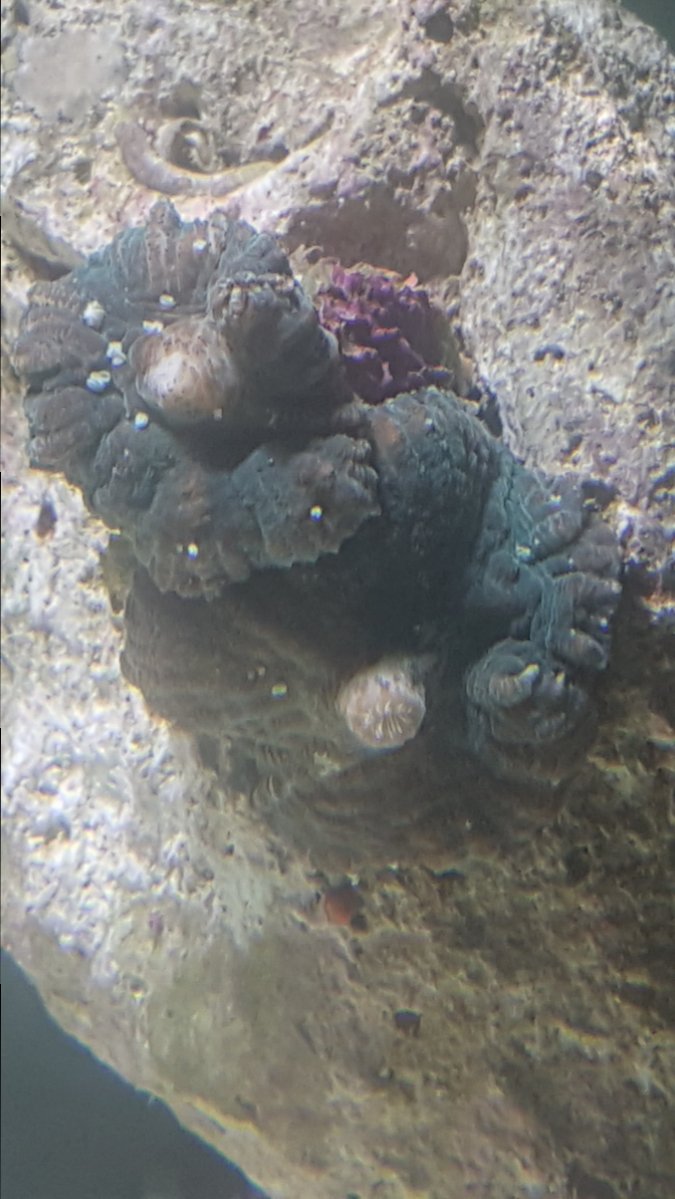 20180401_232553.jpg