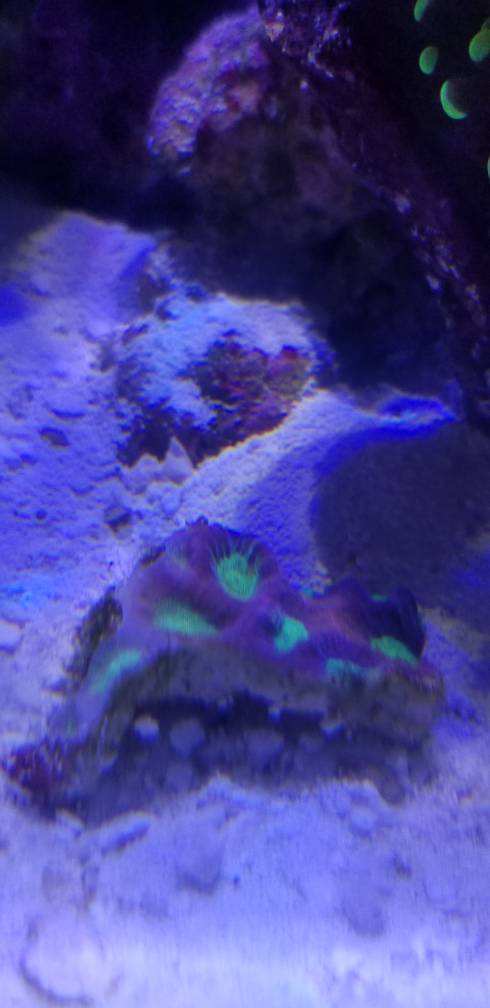 20180405_134905.jpg