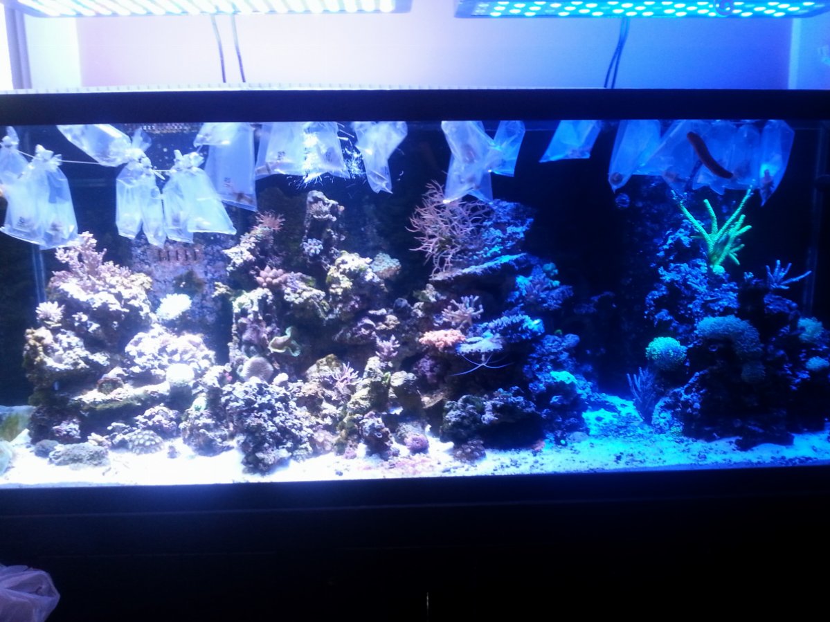20180406_103741.jpg