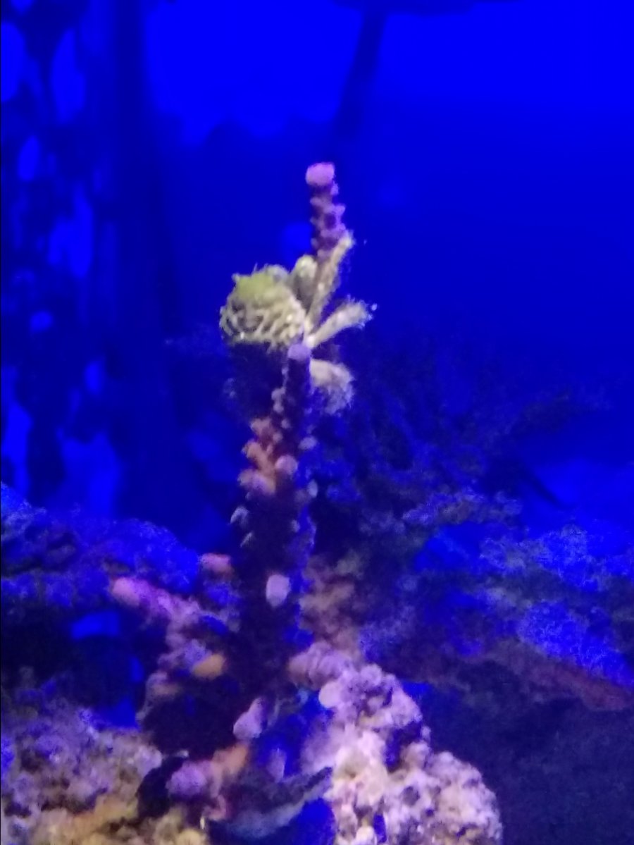 20180407_061342.jpg