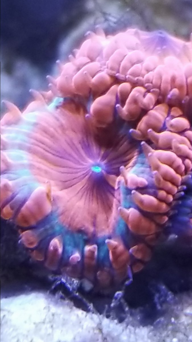 20180408_100129.jpg