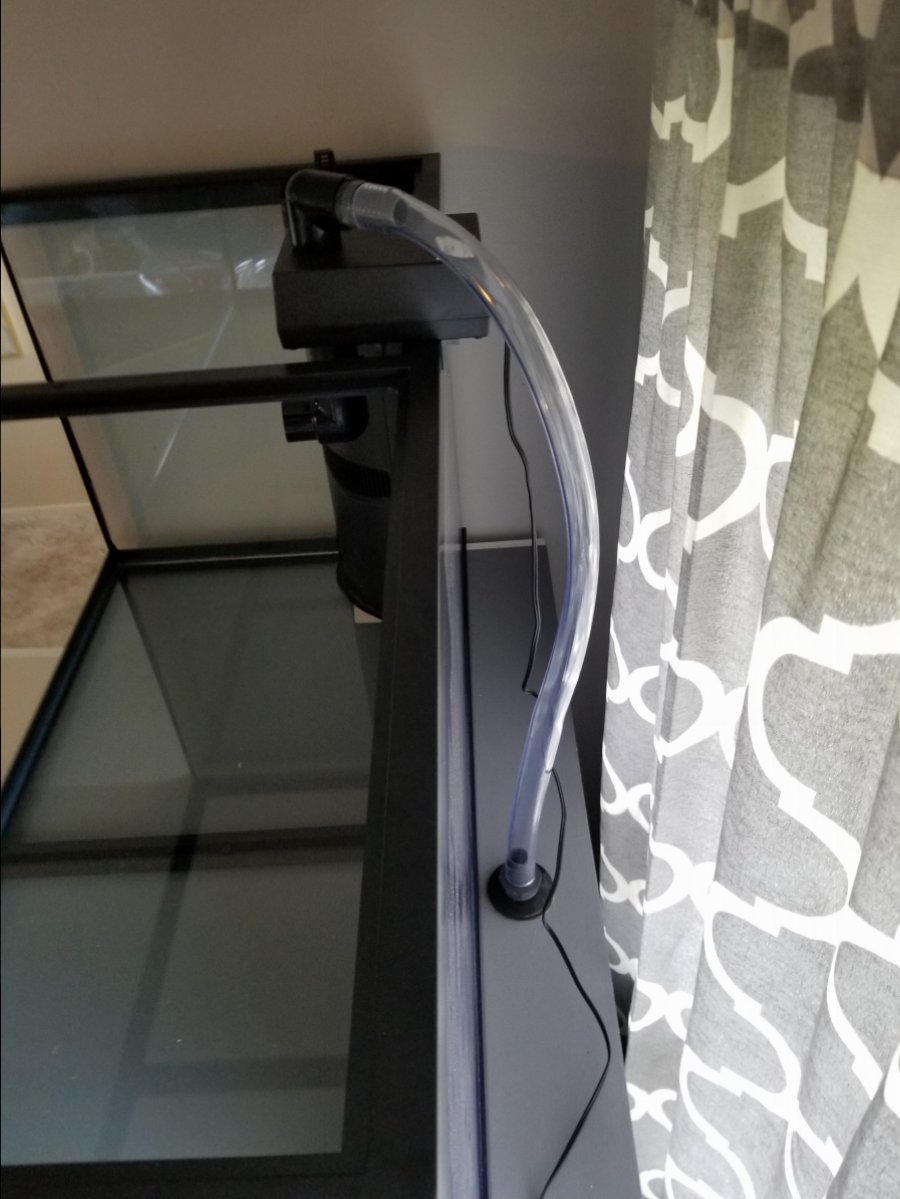 20180408_122920.jpg