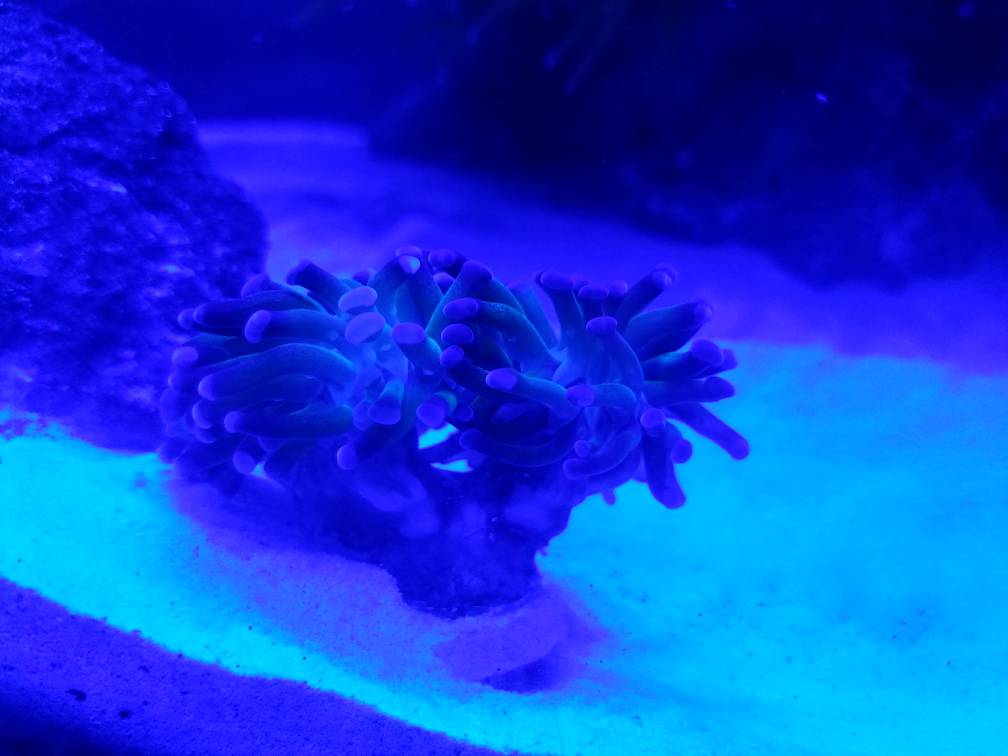 20180409_192835.jpg