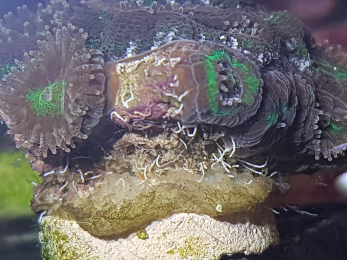 20180410_021902.jpg