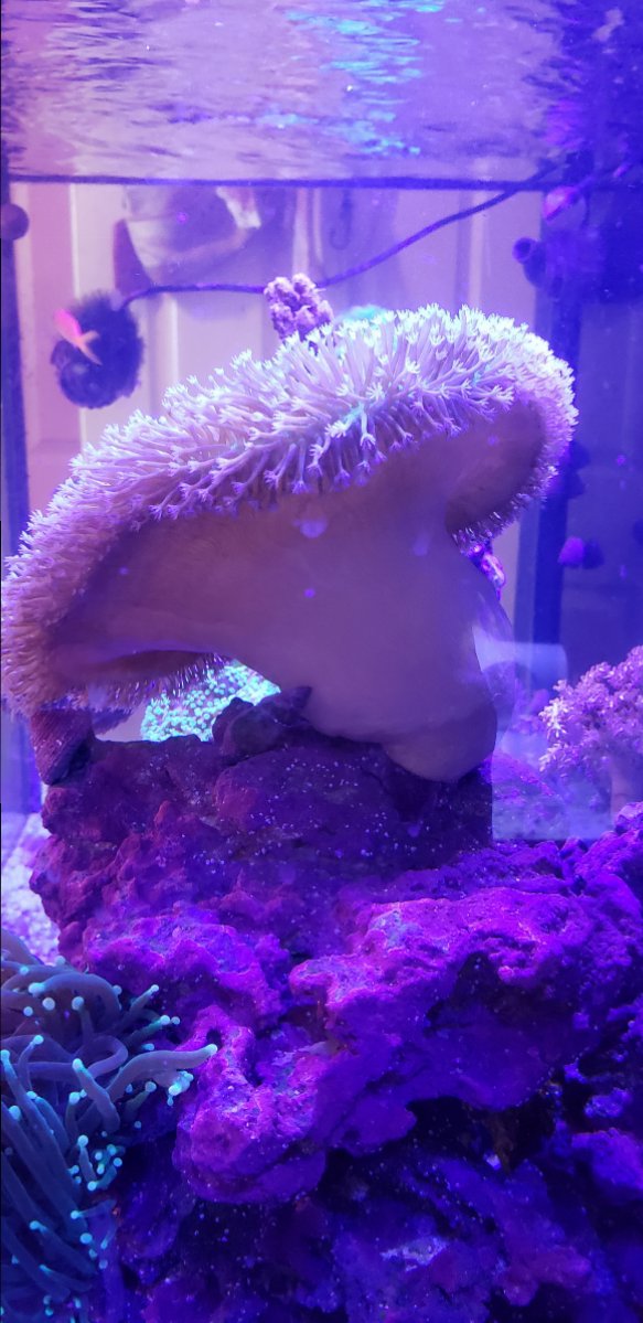 20180410_105022.jpg