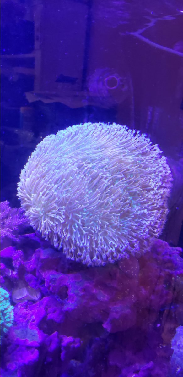 20180410_105032.jpg