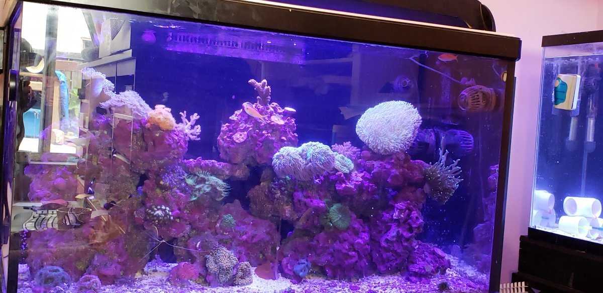 20180410_105821.jpg
