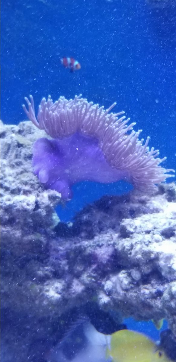20180413_160639.jpg