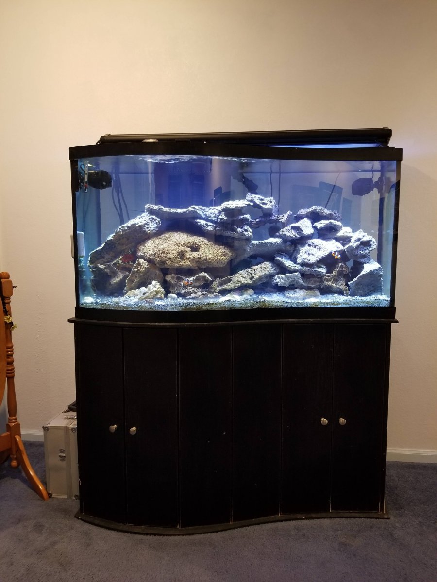 Build Thread - Spirit of 75 | Reef2Reef