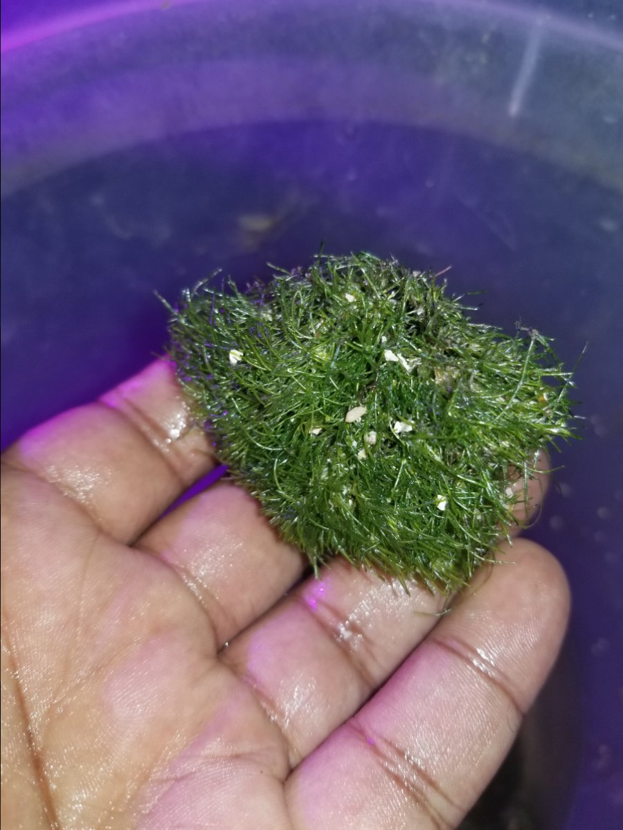 20180418_161236.jpg
