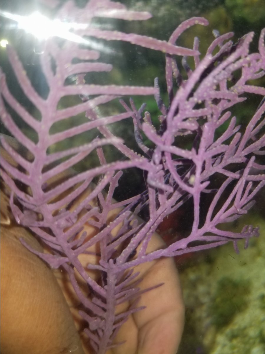 20180418_163440.jpg
