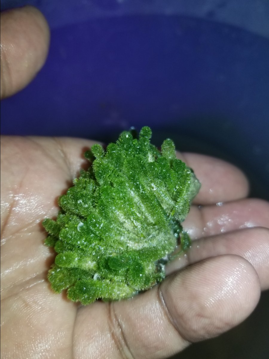 20180418_163920.jpg