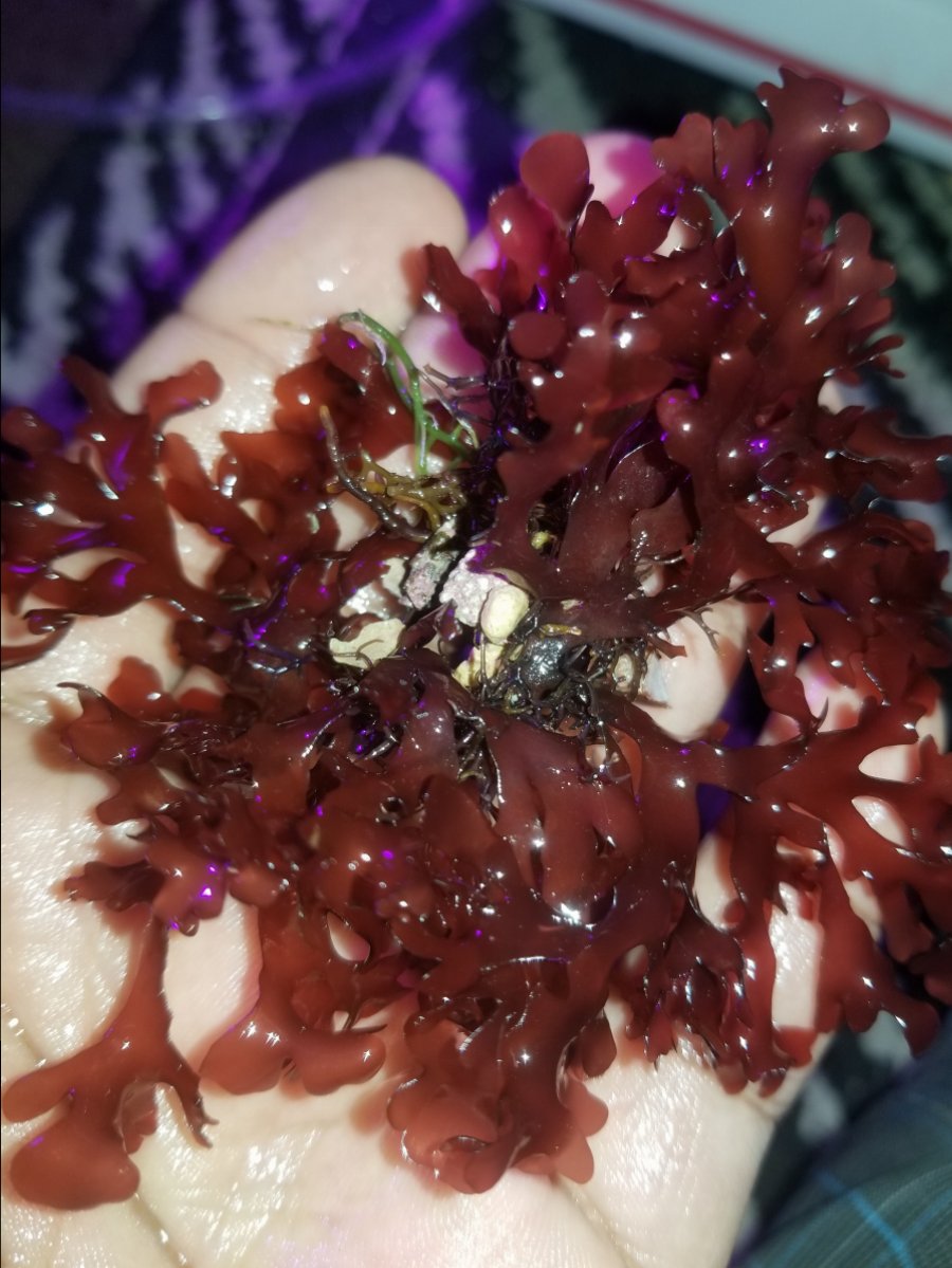 20180418_165022.jpg