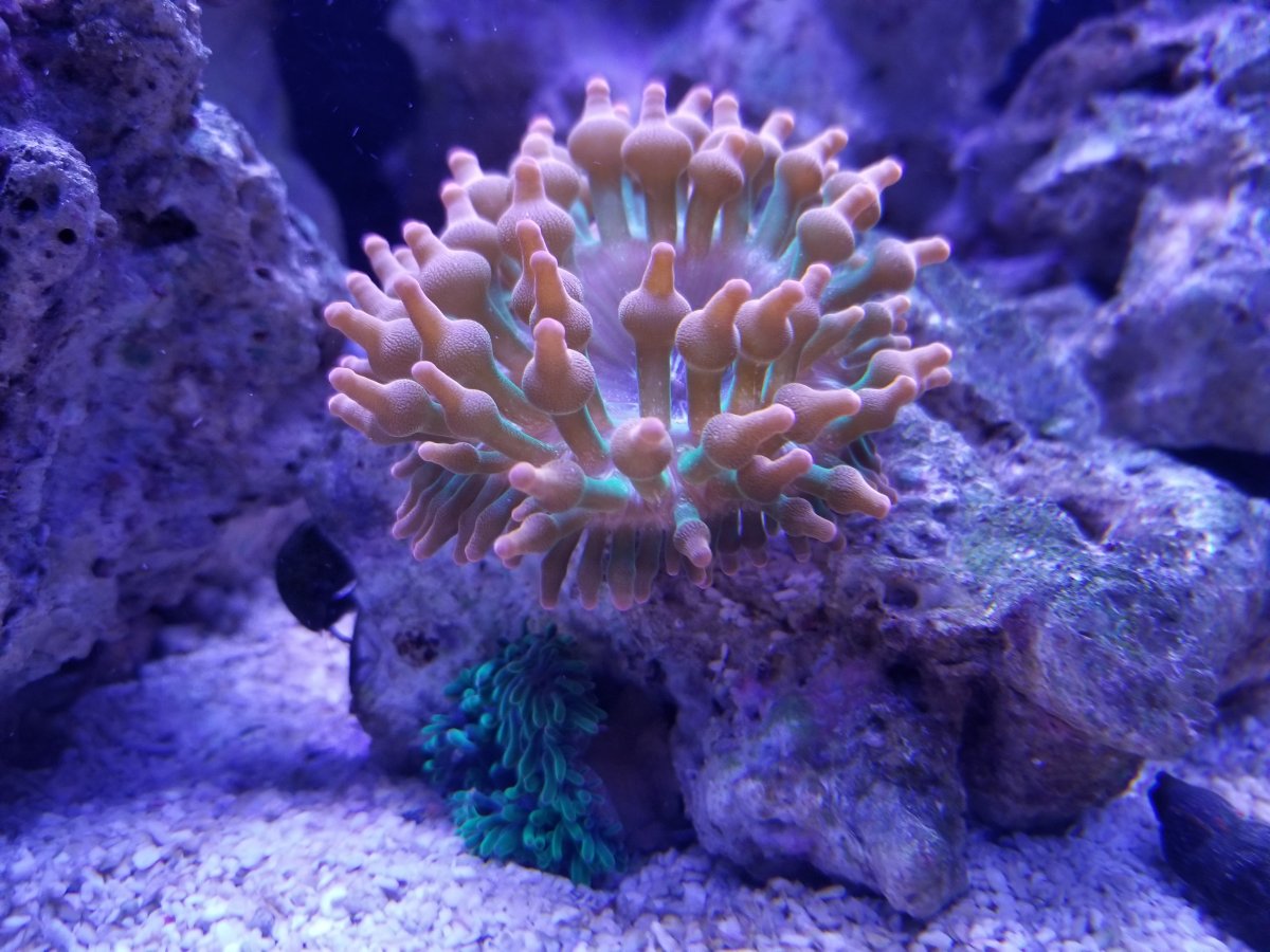 20180418_191548.jpg