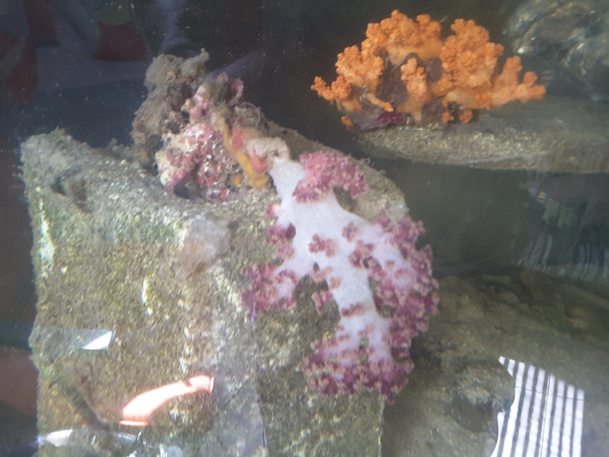 20180422_153940.jpg
