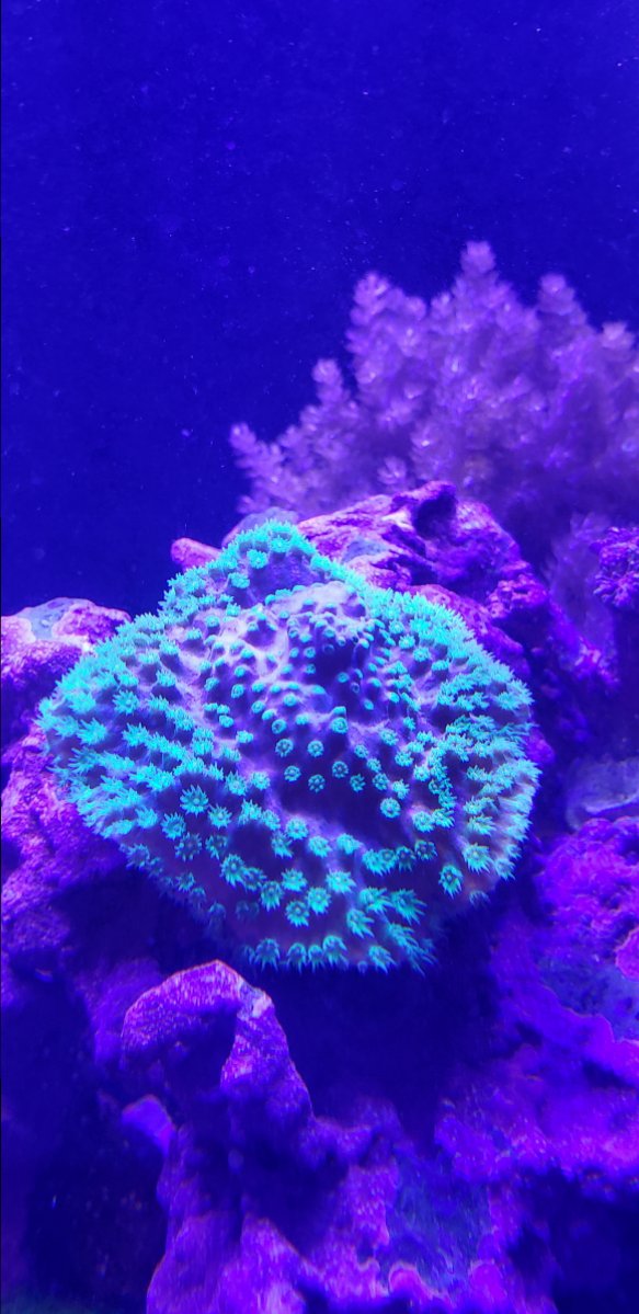 20180423_185055.jpg