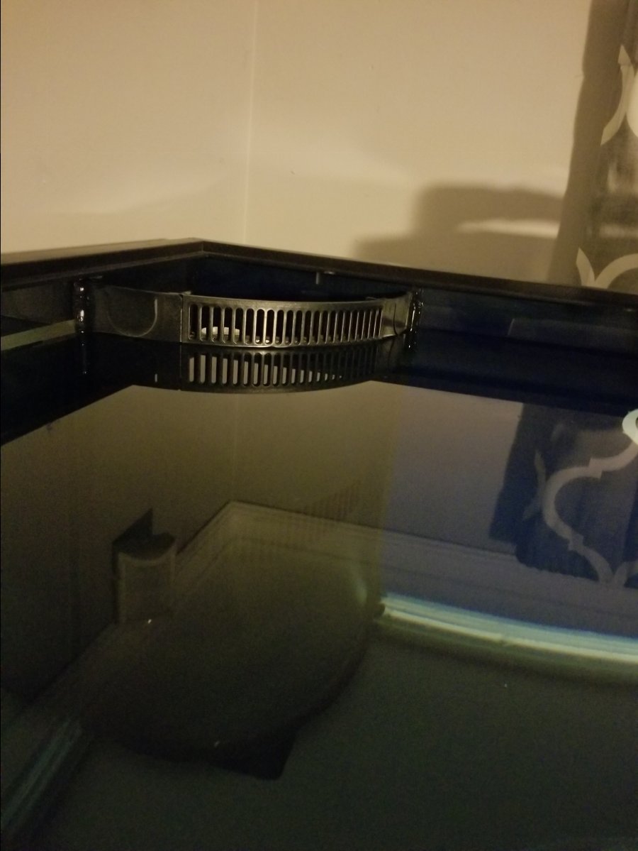20180423_205307.jpg