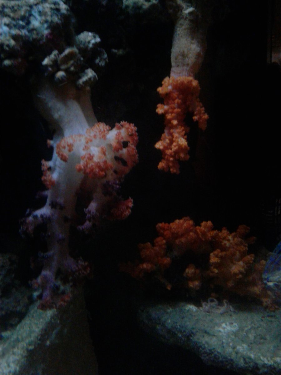 20180423_205921.jpg