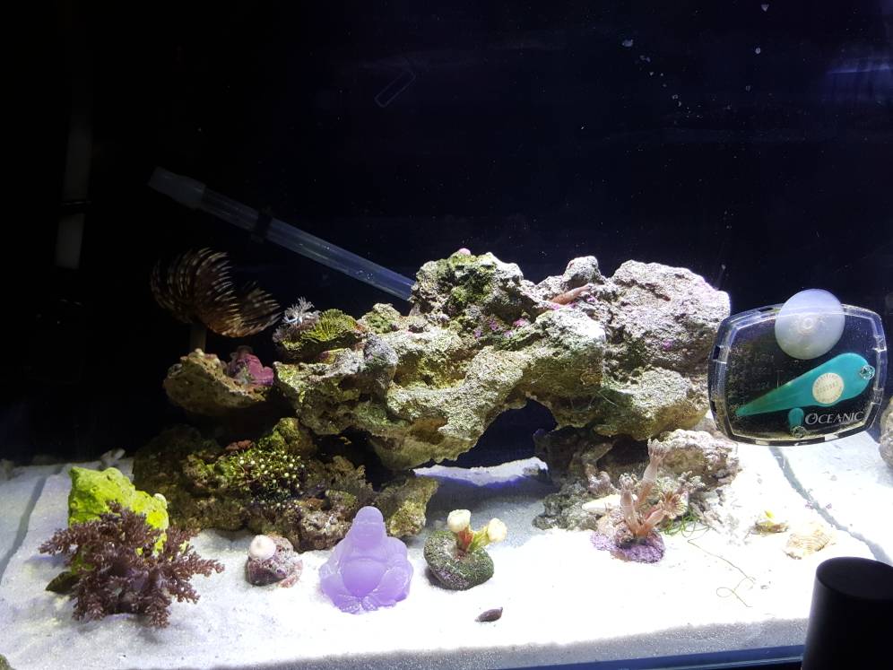 20180425_065401.jpg