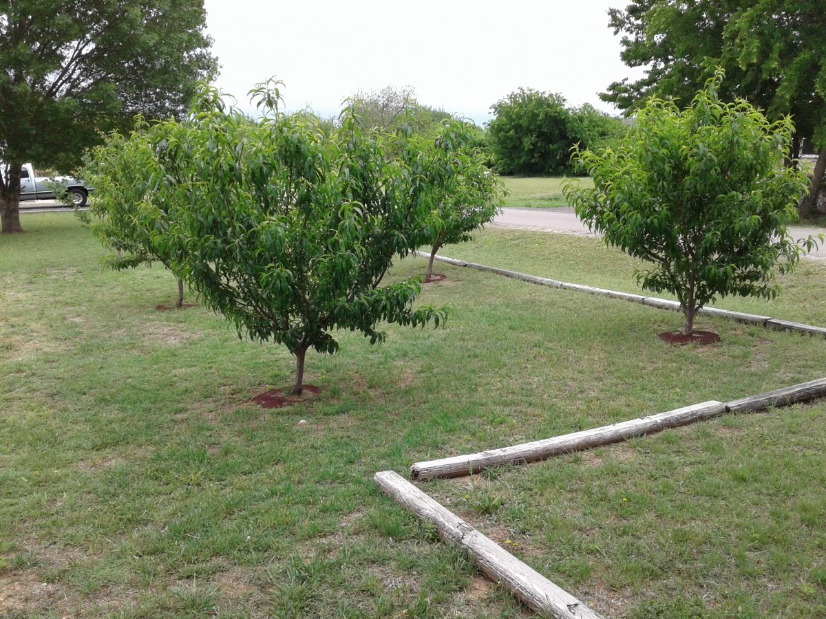 20180425_122938.jpg