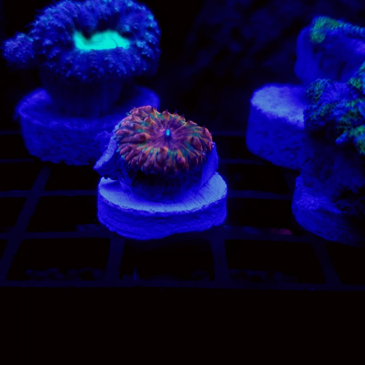 20180426_003003.jpg