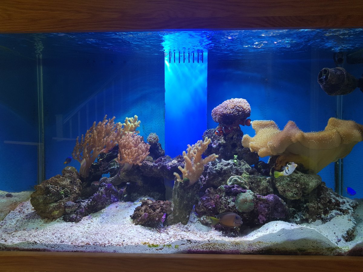 20180426_140108.jpg