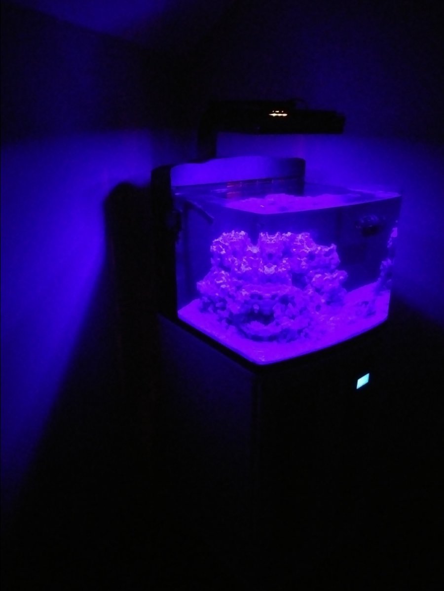 20180426_215815.jpg