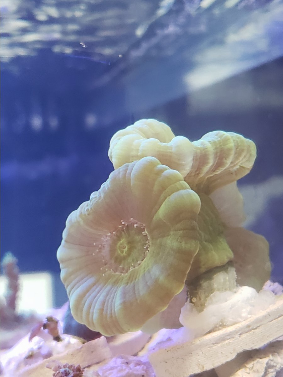 20180429_141248.jpg