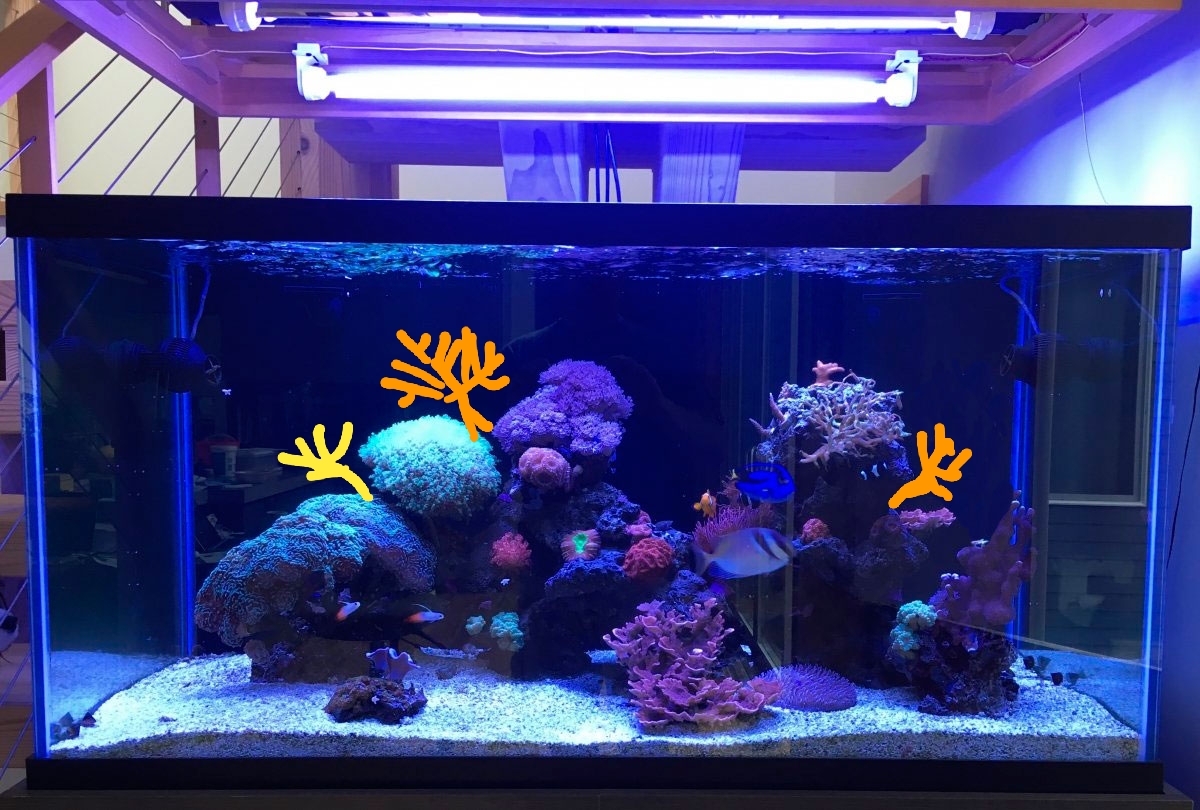 20180429_211807.jpg