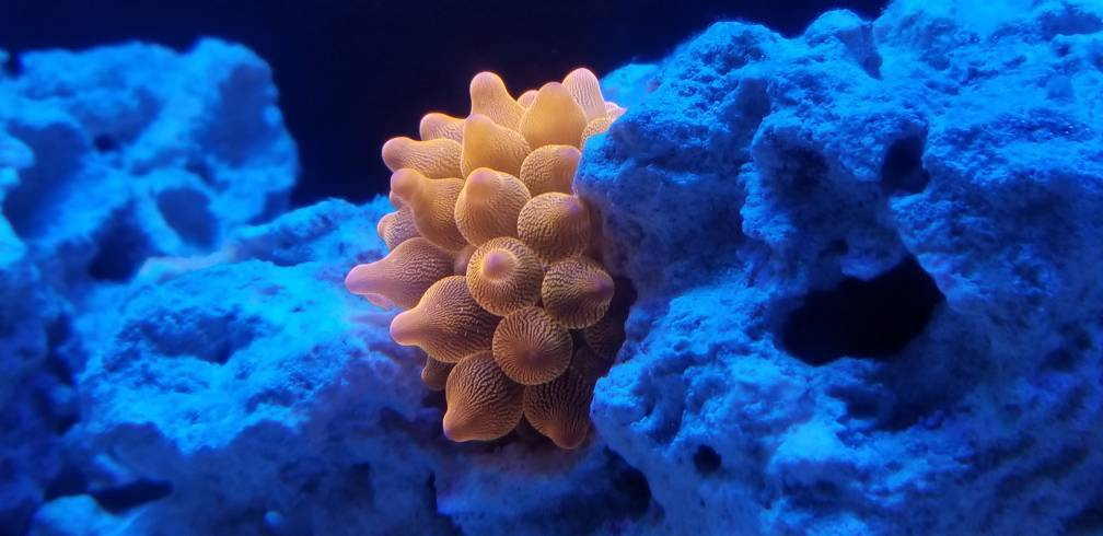 20180430_195211.jpg