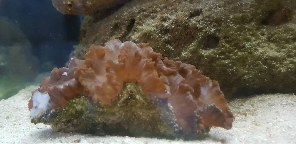 20180501_233116.jpg