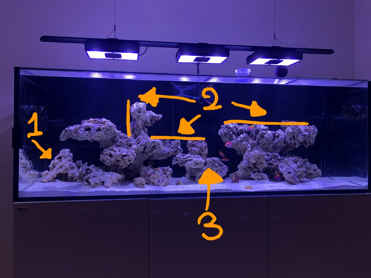 20180502_115149.jpg