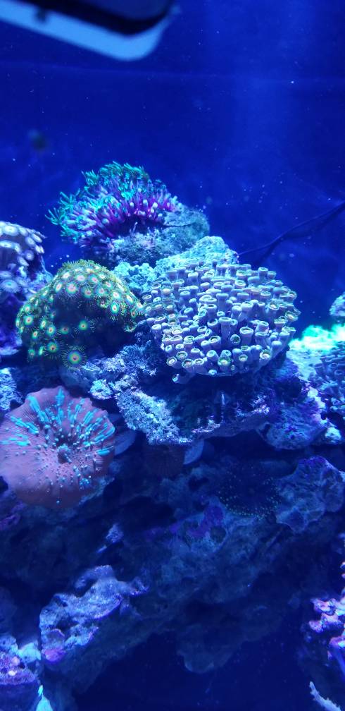 20180503_003843.jpeg