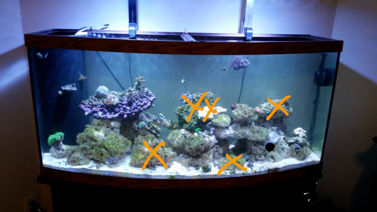 20180504_092247.jpg
