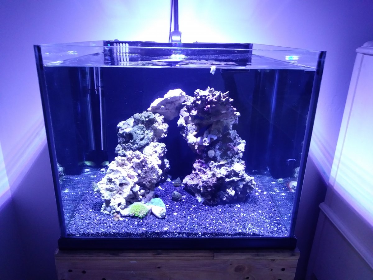 20180506_150652.jpg