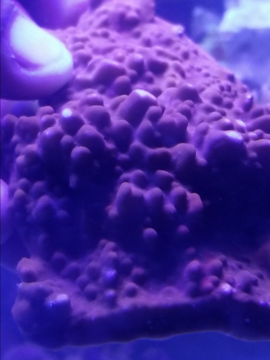 20180507_174752.jpg