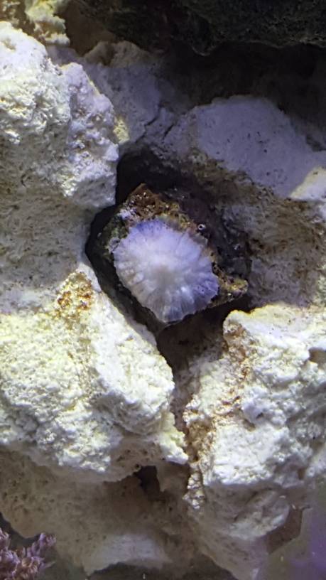 20180508_101407.jpg