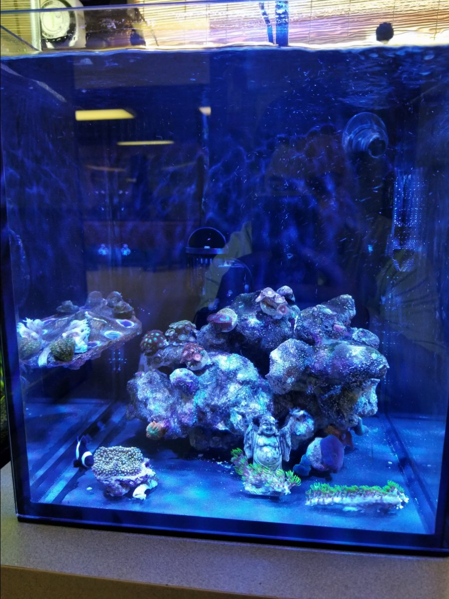 20180509_145808.jpg