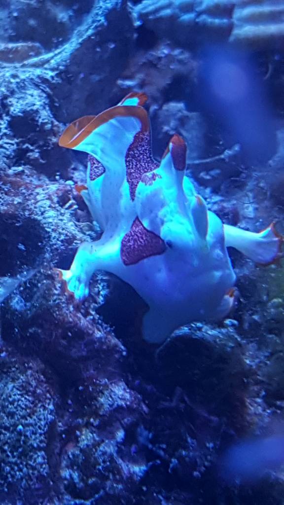 20180516_174224.jpeg