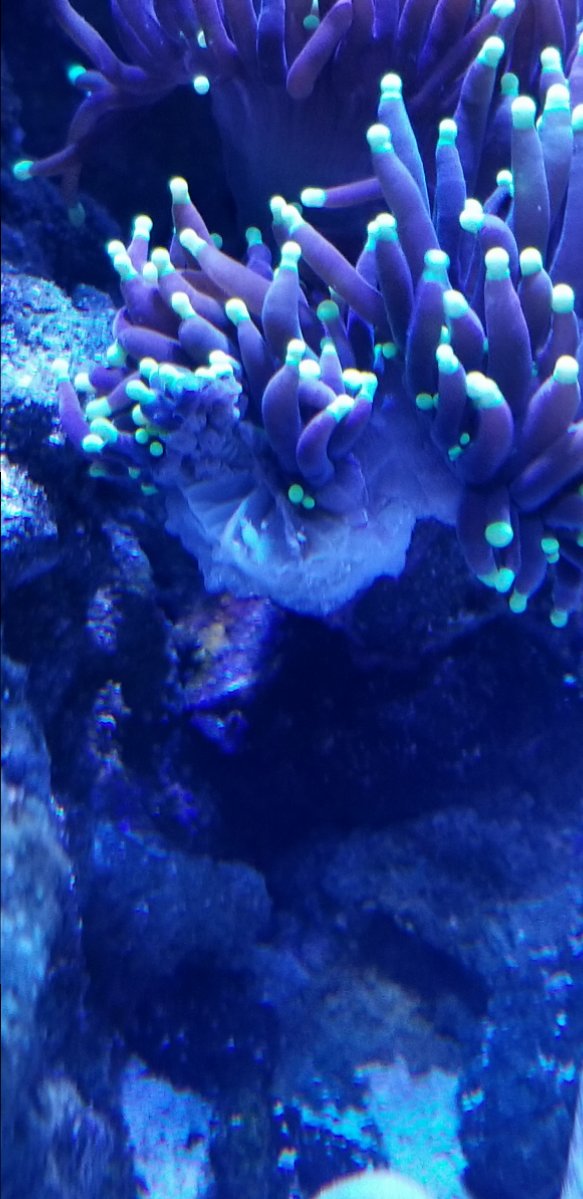 20180516_185437.jpg