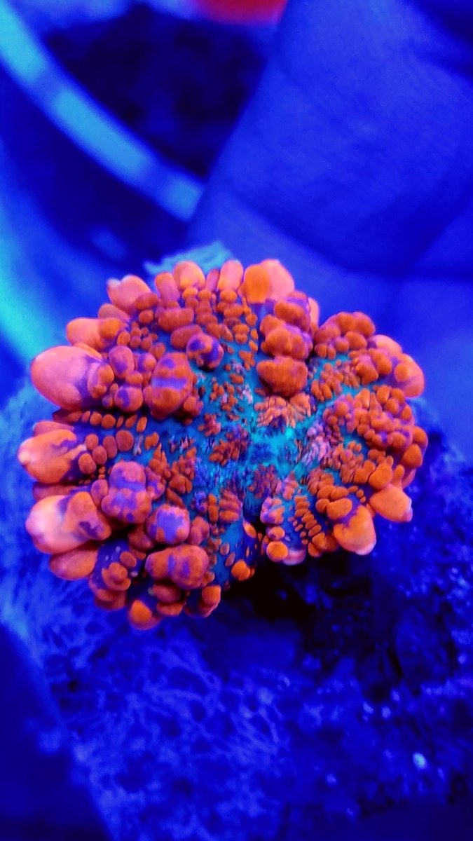 20180517_235449.jpg