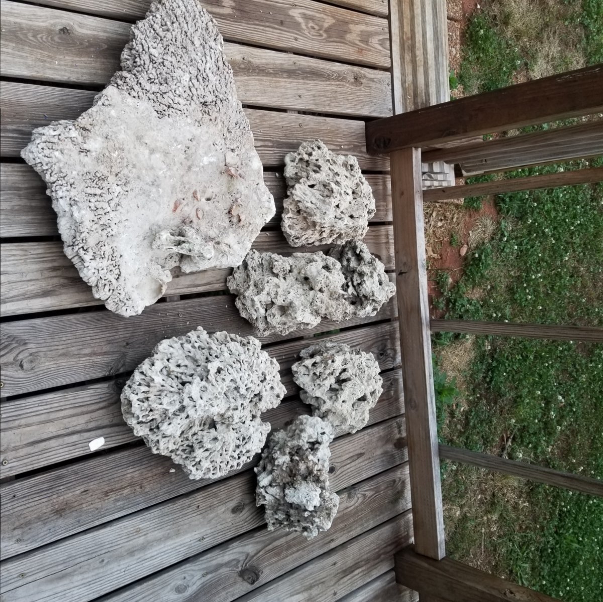 20180519_200053.jpg