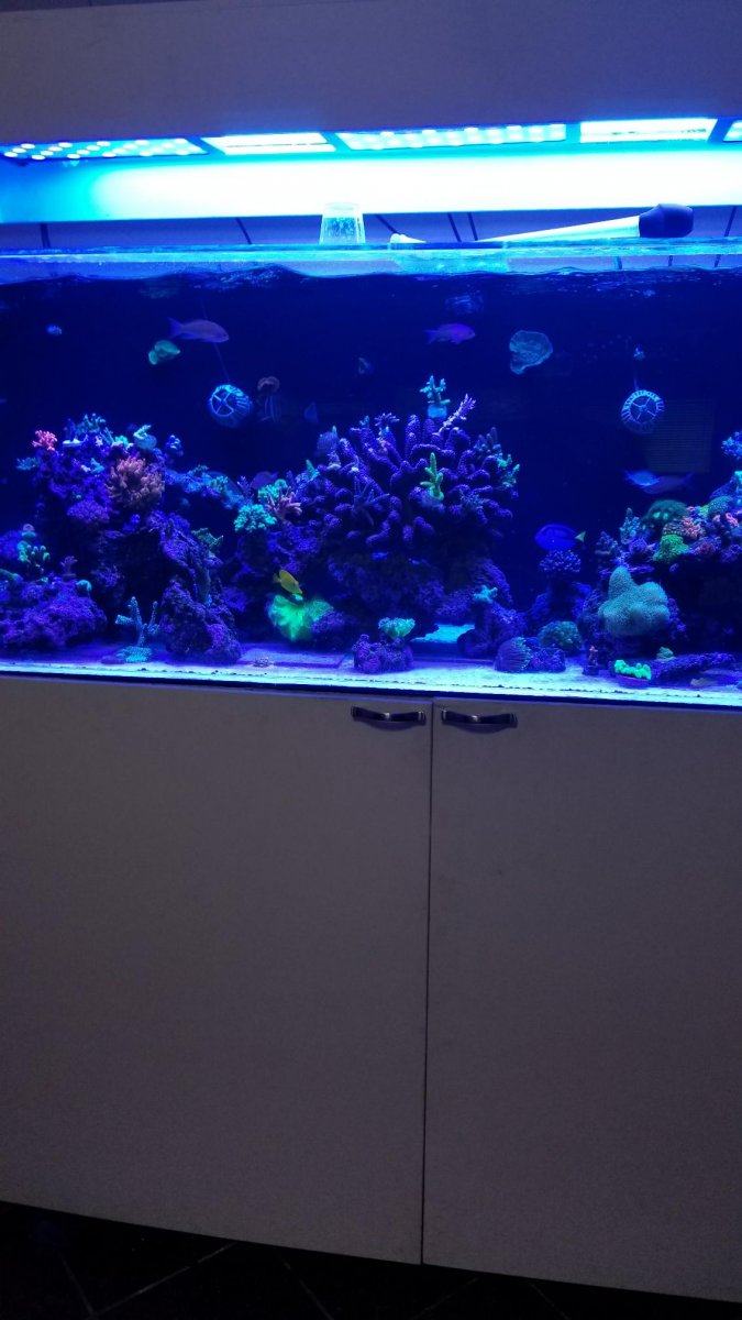 20180520_155750_1526857070830.jpeg