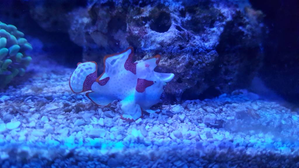 20180522_120253.jpeg