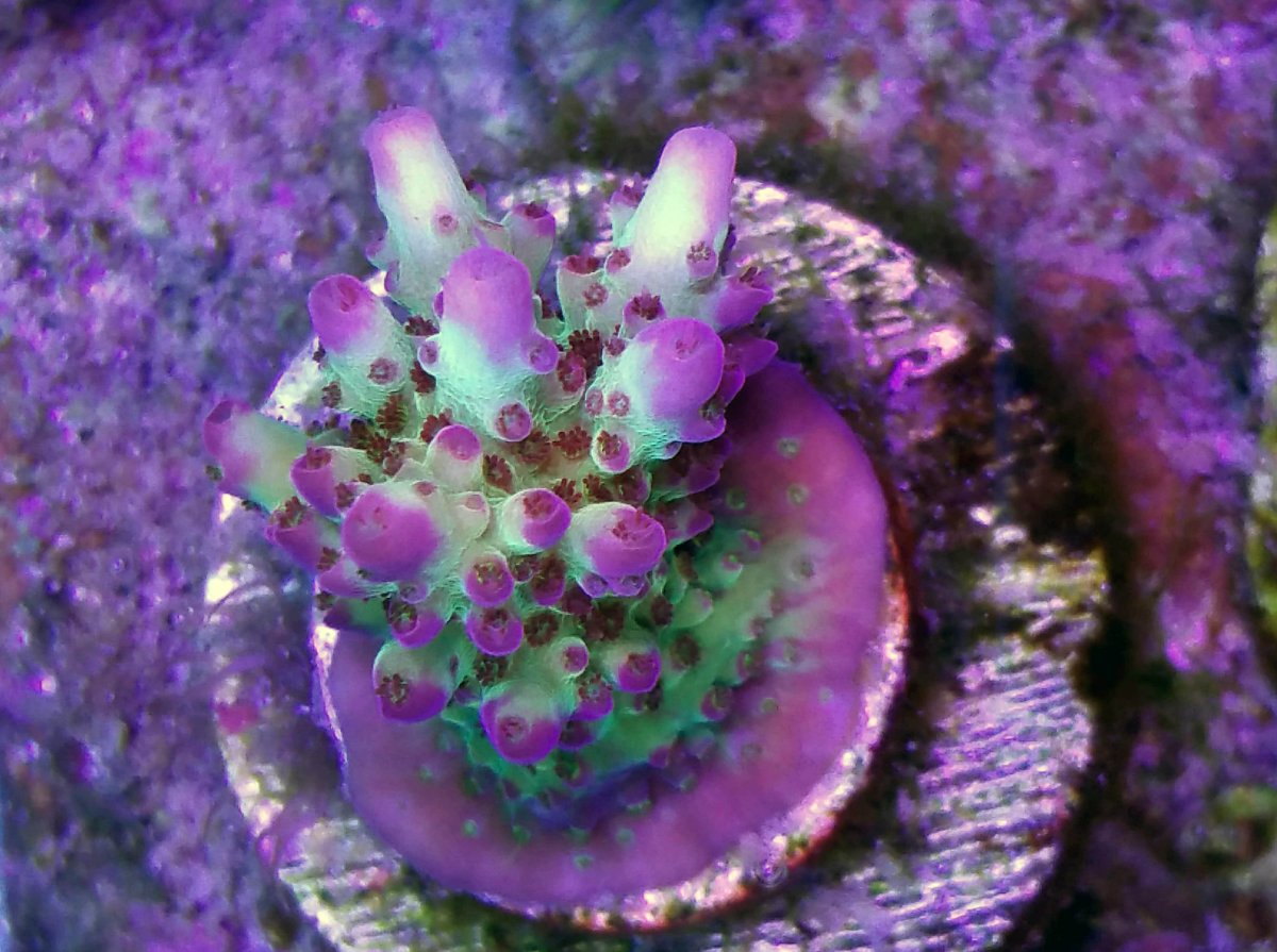 20180522_180351.jpg