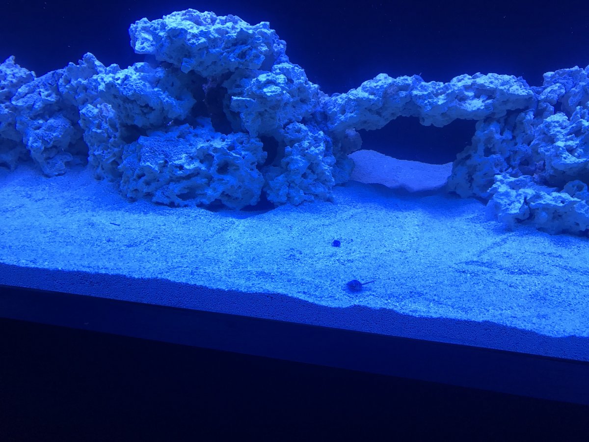 20180525_013722698_iOS.jpg