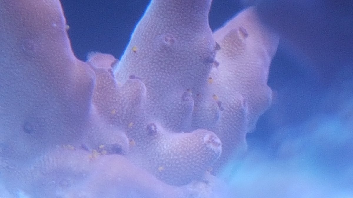 20180528_112253.jpg