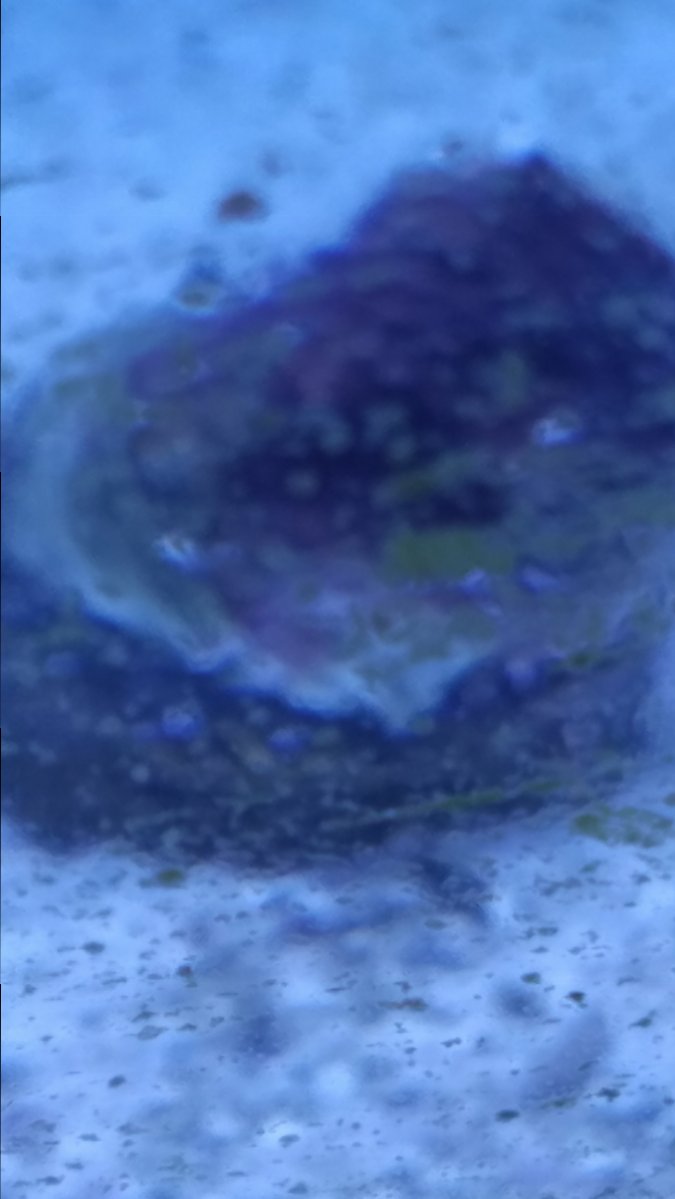 20180529_230140.jpg
