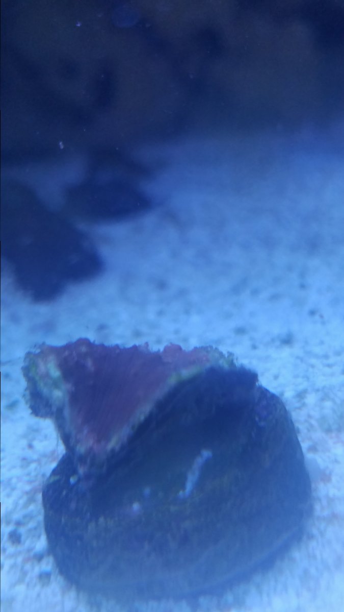 20180605_155019.jpg