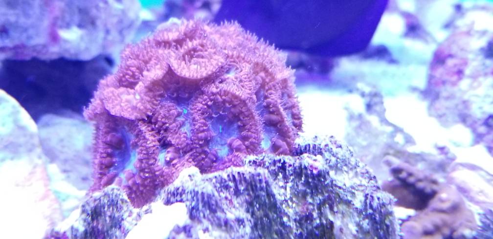 20180605_171009.jpeg